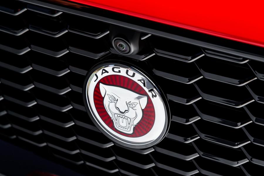 Логотип Jaguar XE P300 R-Dynamic 2019 года  (WW) (фото 46 из 51)